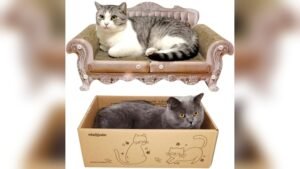 Best Couch for Cat Owners