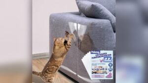 Best Couch for Cats That Scratch
