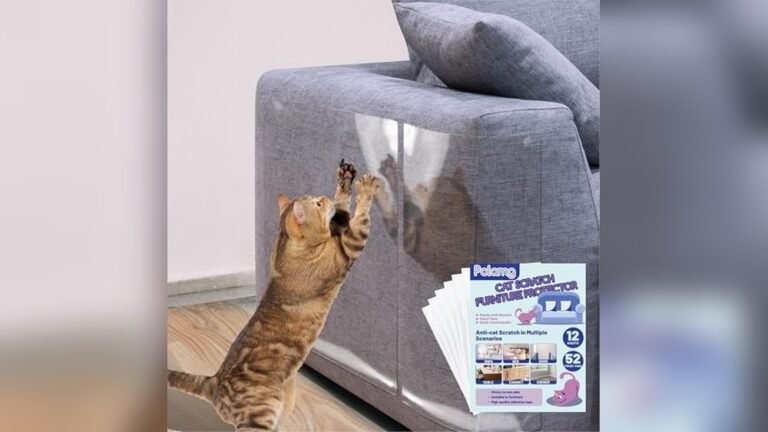 Best Couch for Cats Who Scratch