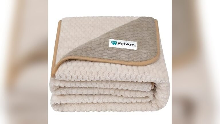 Best Couch for Dogs Who Shed