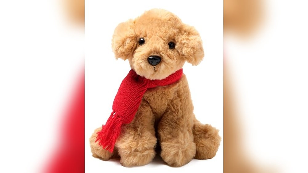 Best Couch for Golden Retriever