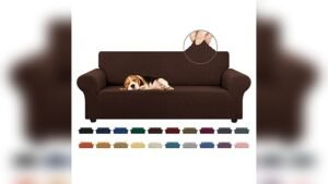 Best Couch for Kids And Pets