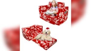 Best Couch for Pets And Kids