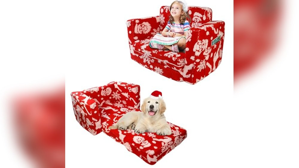 Best Couch for Pets And Kids