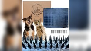 Best Couch Guard for Dogs