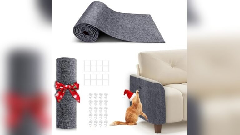 Best Couch Material for Cat Owners