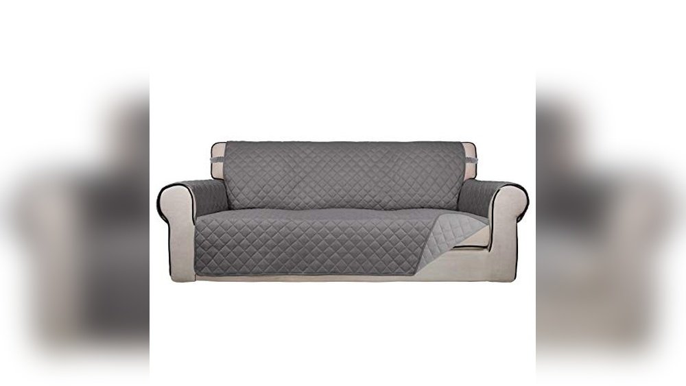 Best Couch Material for Dogs And Kids