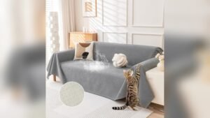 Best Couch Material for Dogs That Scratch