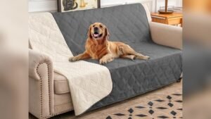 Best Couch Material for Dogs That Shed