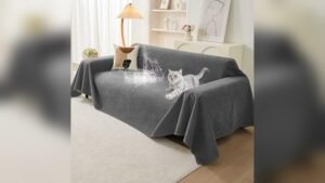 Best Couch Material for Dogs With Claws