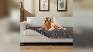 Best Couch Material for Kids And Dogs