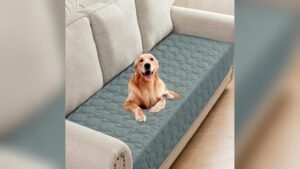 Best Couch Materials for Dogs