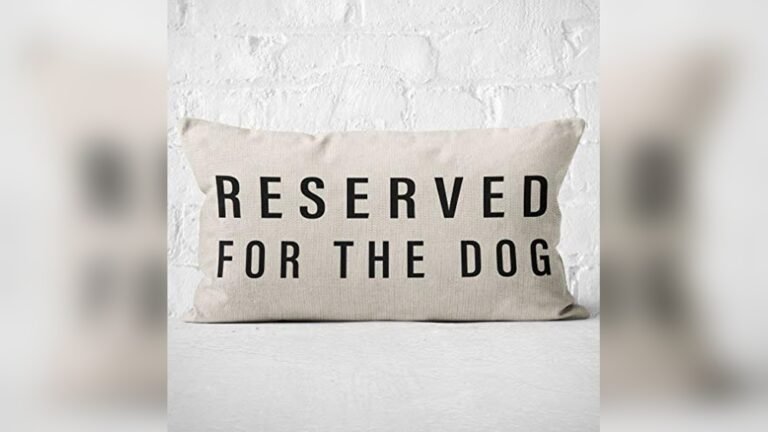 Best Couch Pillows for Dog Owners