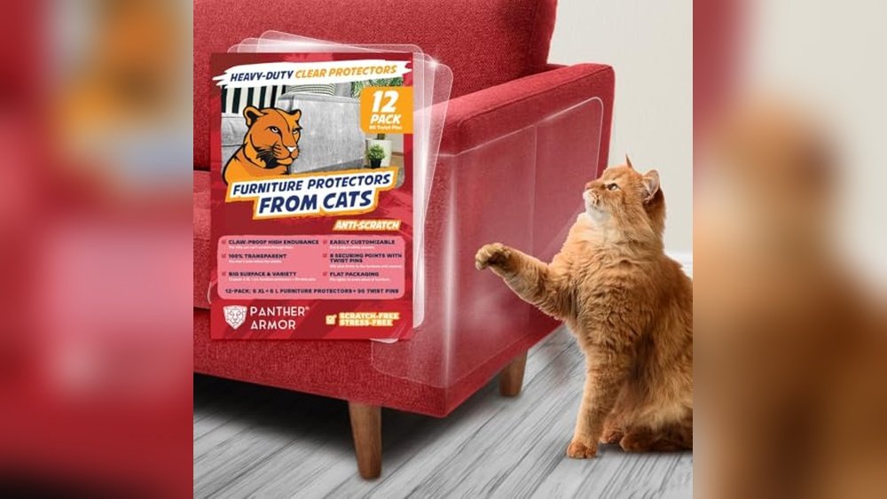 Best Couch Protector for Cats