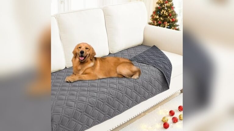 Best Couch Slipcovers for Dogs