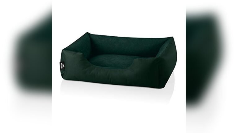 Best Couch Type for Dogs