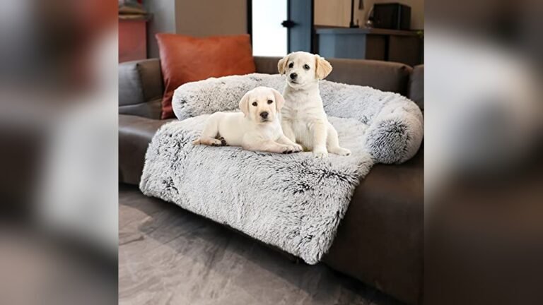 Best Couch Upholstery for Dogs
