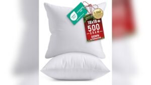 Best Cushion Filling for Sofa