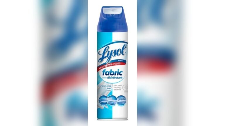 Best Disinfectant Spray for Couch