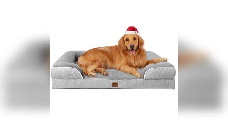 Best Dog Bed for Couch