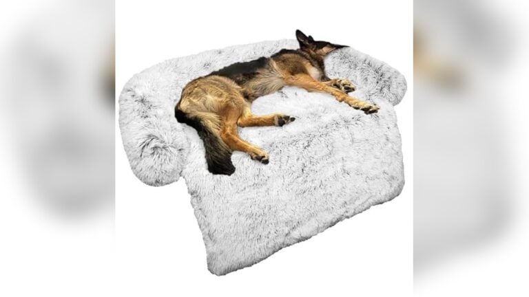 Best Dog Beds for Couch