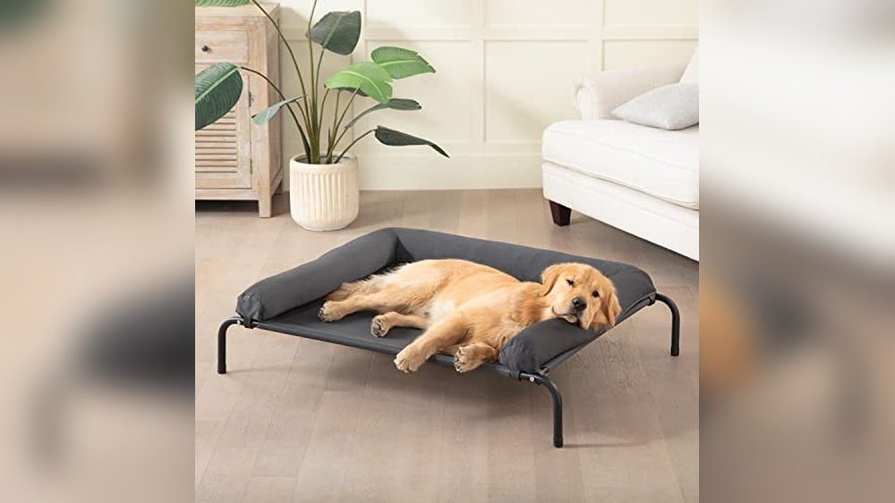 Best Dog Hammock Camping Gear for Comfortable Outdoor Adventures 1 Best Dog Hammock Camping