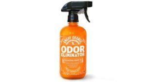 Best Dog Odor Eliminator for Couch