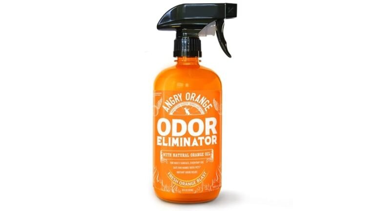 Best Dog Odor Eliminator for Couch