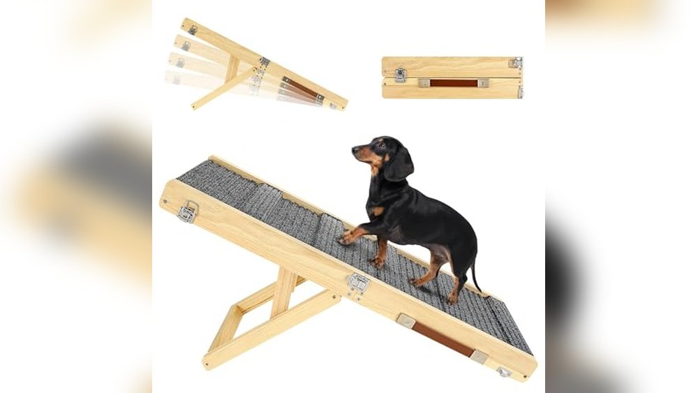 Best Dog Ramp for Couch