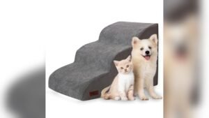 Best Dog Stairs for Couch