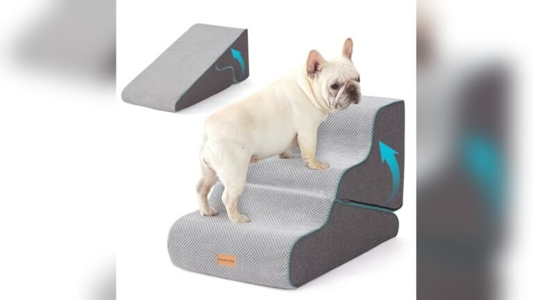 Best Dog Steps for Couch