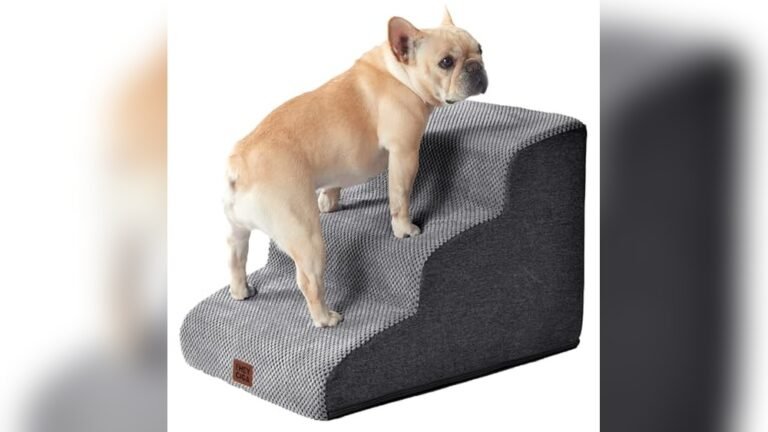 Best Dog Steps for Sofa