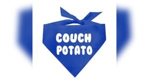 Best Dogs for Couch Potatoes