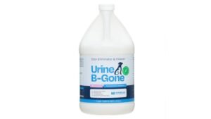 Best Enzymatic Cleaner for Pet Urine Couch