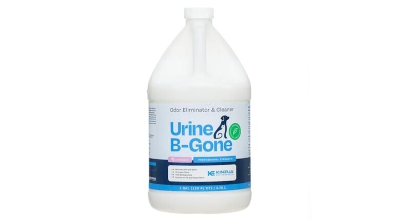 Best Enzymatic Cleaner for Pet Urine Couch