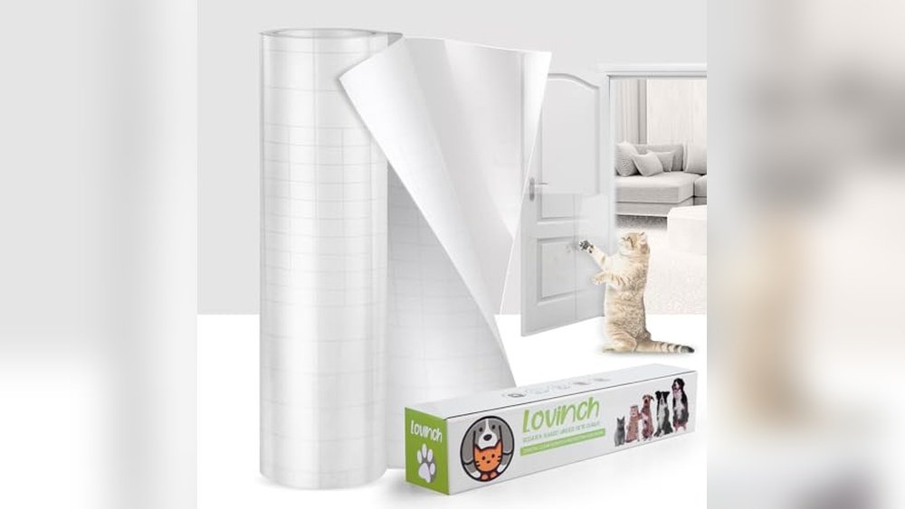 Best Fabric Couch for Cats