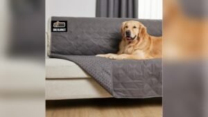 Best Fabric for Dogs Couch