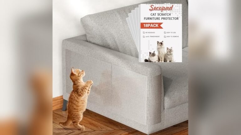 Best Fabric for Sofa When You Have Cats