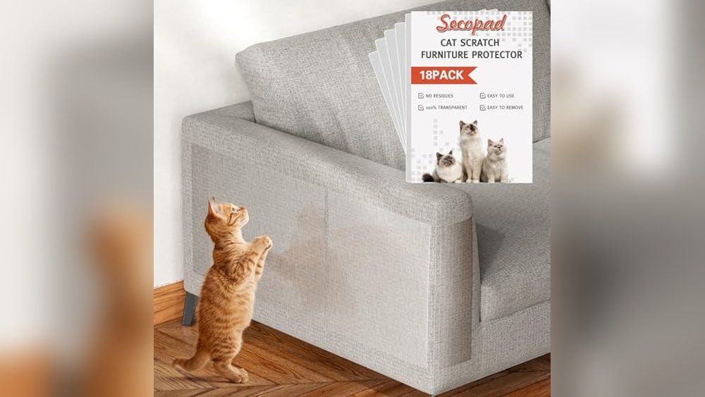 Best Fabric for Sofa When You Have Cats