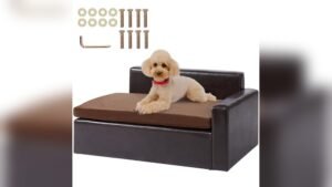 Best Faux Leather Couch for Pets