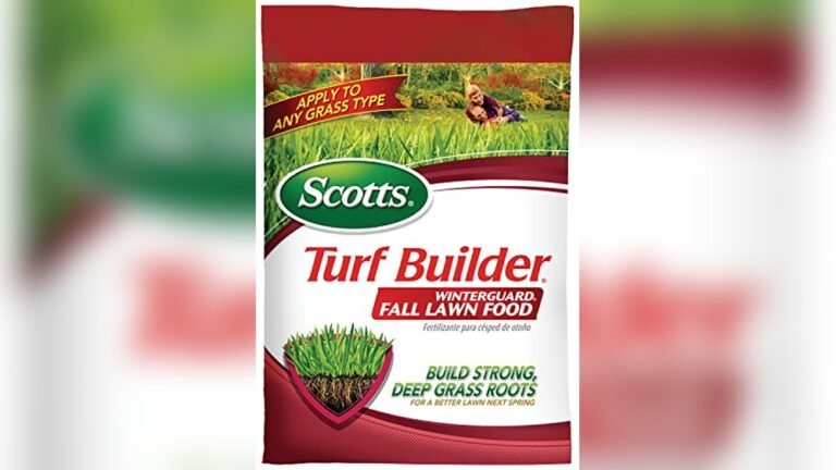 Best Fertiliser for Couch Grass