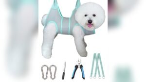 Best Grooming Hammock for Small Dogs