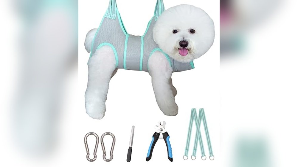 Best Grooming Hammock for Small Dogs