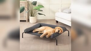 Best Hammock Chair for Dogs