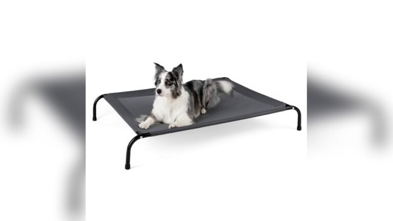 Best Hammock Dog Beds for Large Dogs