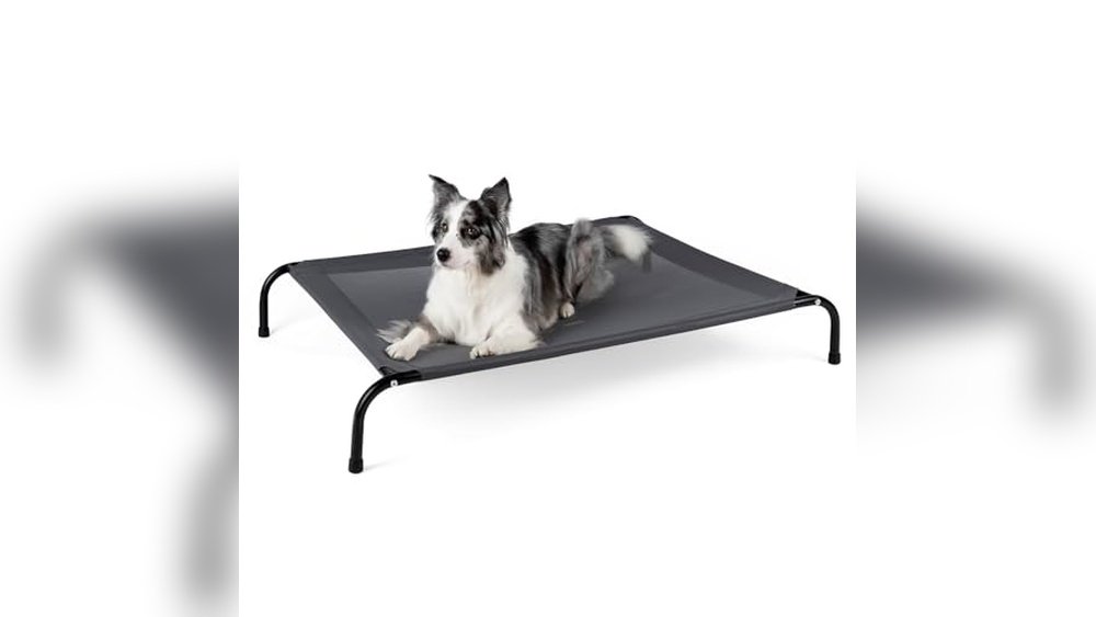 Best Hammock Dog Beds for Large Dogs