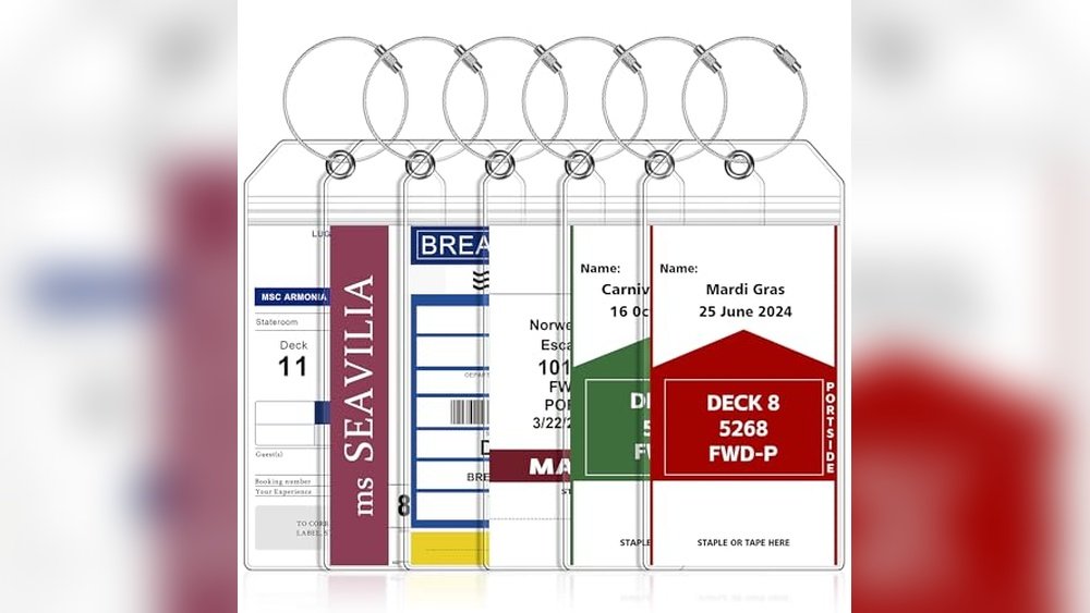 Best Luggage for Cruise Ship Travel
