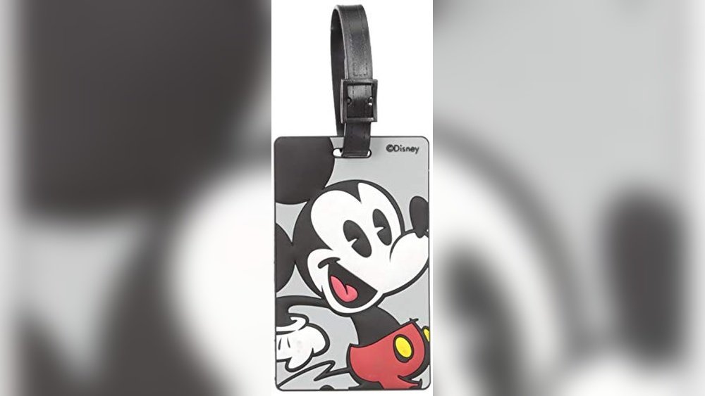 Best Luggage for Disney World