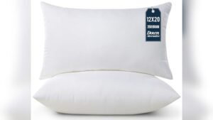 Best Lumbar Pillows for Couch