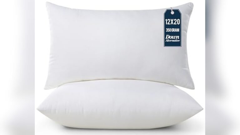 Best Lumbar Pillows for Couch